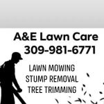 A&E Lawn and Tree