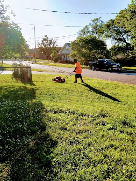 A&E Lawn and Tree Picture 5