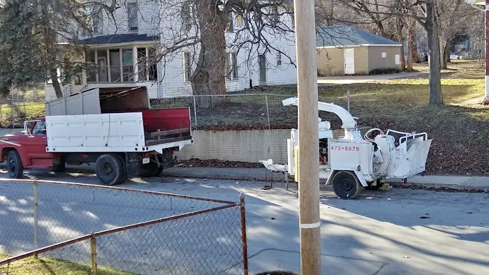 All Seasons Tree Service Picture 2