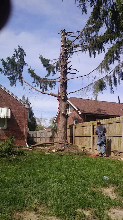 All Seasons Tree Service Picture 4