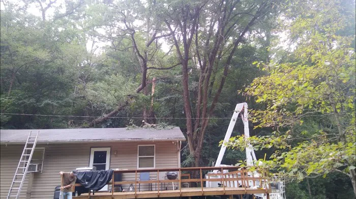 All Seasons Tree Service Picture 8