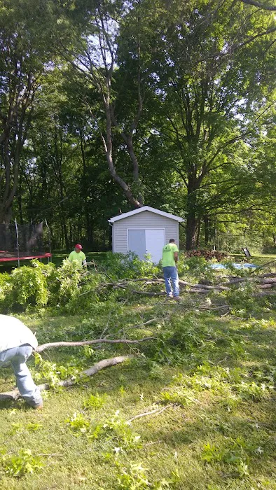 All Seasons Tree Service Picture 3