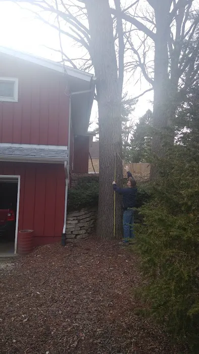 All Seasons Tree Service Picture 5