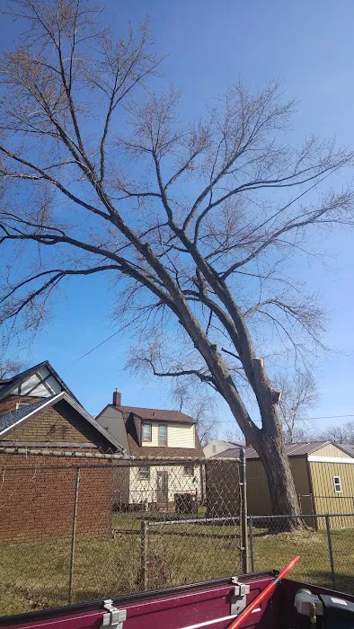 All Seasons Tree Service Picture 10