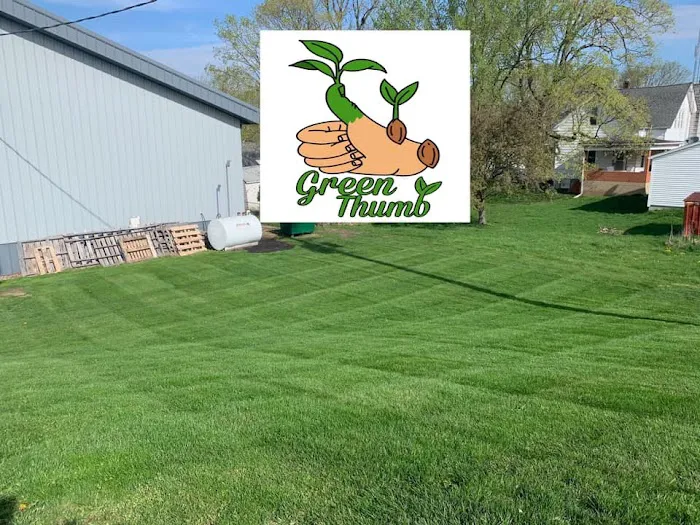 Green Thumb / Green Finger Enterprises LLC Picture 6