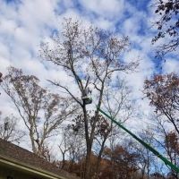 Duran's Landscaping ico