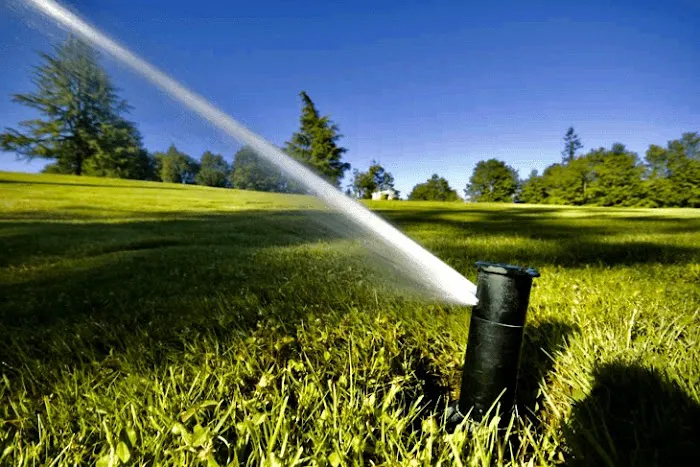 Commercial Irrigation Picture 2