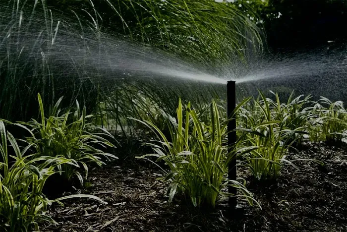 Commercial Irrigation Picture 5