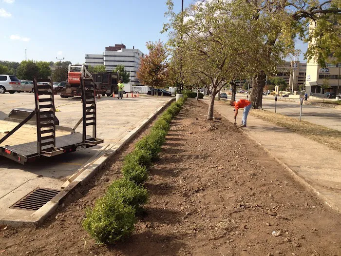 Calicotte Landscape Co Picture 8