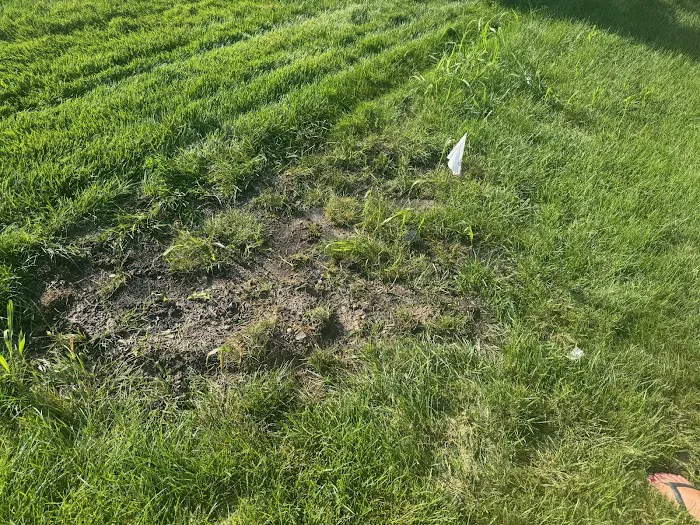 WISSCO Irrigation Picture 2