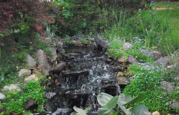 Wrightway Landscape Picture 1