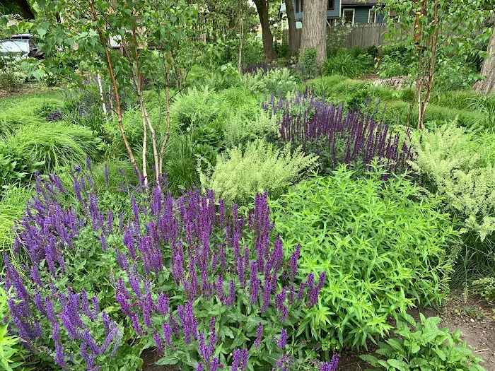 Indigo Gardens and Design Picture 5