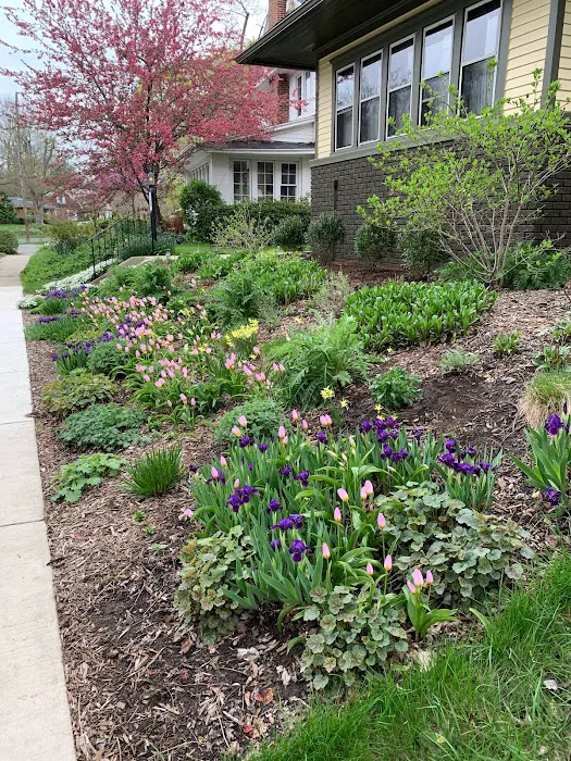 Indigo Gardens and Design Picture 10