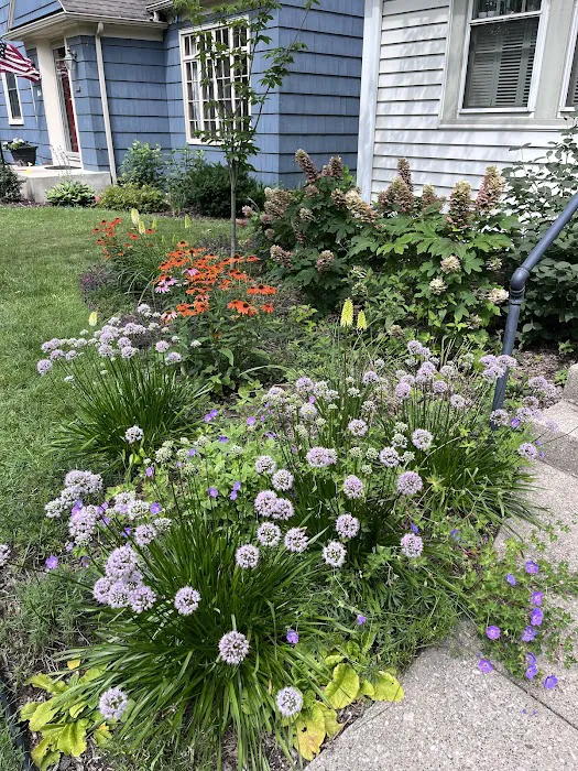 Indigo Gardens and Design Picture 1