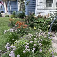 Indigo Gardens and Design ico