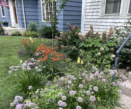Indigo Gardens and Design