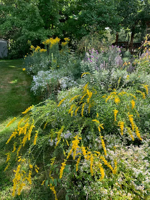 Indigo Gardens and Design Picture 6