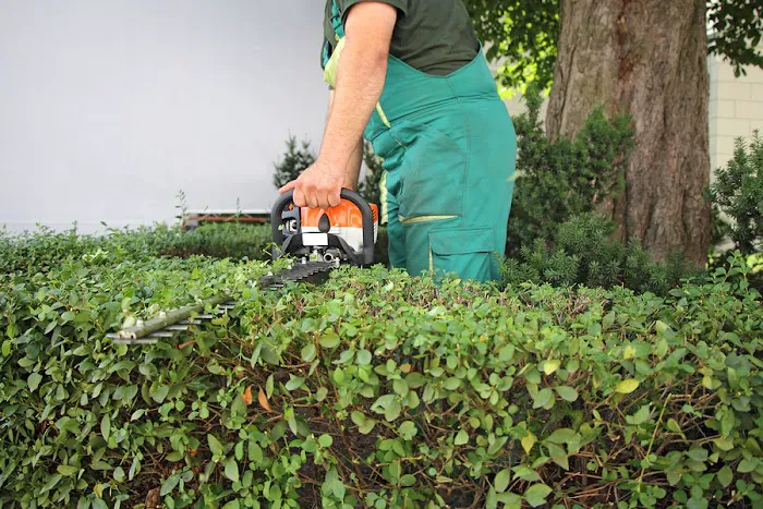 Michiana Commercial Landscaping Picture 4