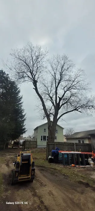 A1 Tree Service Michiana Picture 1