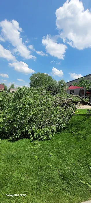 A1 Tree Service Michiana Picture 6