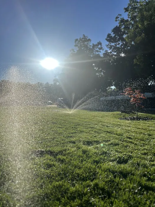 All Green Irrigation Picture 10