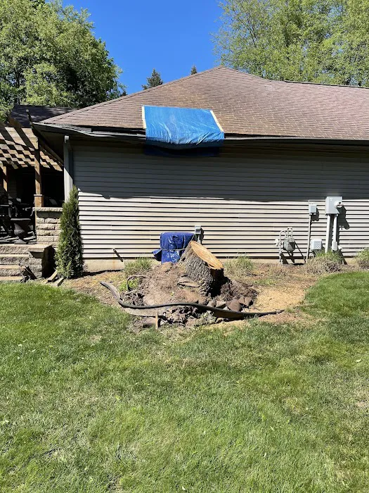 1 TEC Properties Tree Service Picture 9