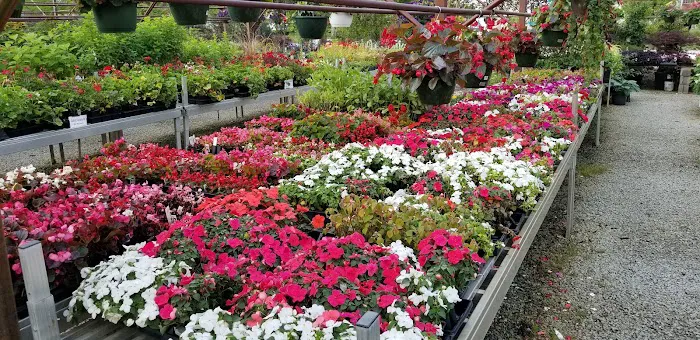 McKinley Garden Center Picture 4