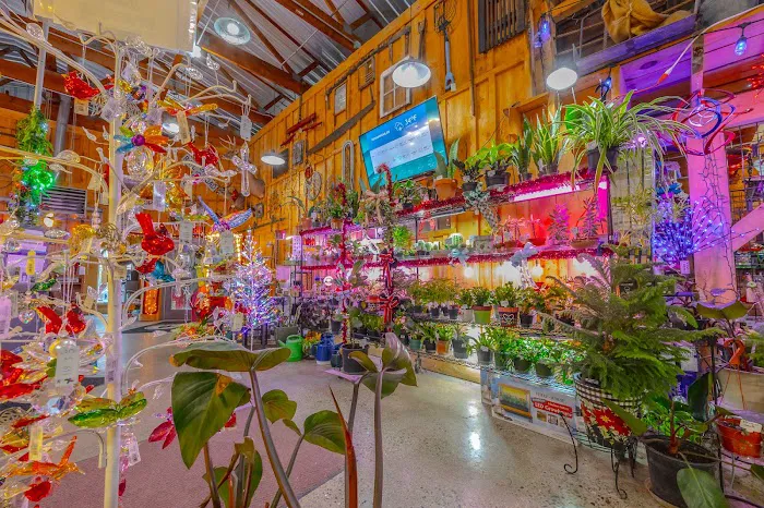 McKinley Garden Center Picture 5