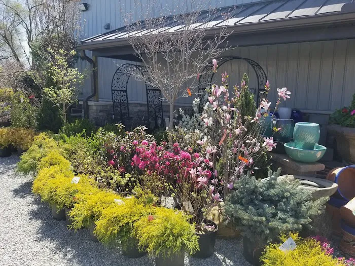 McKinley Garden Center Picture 10