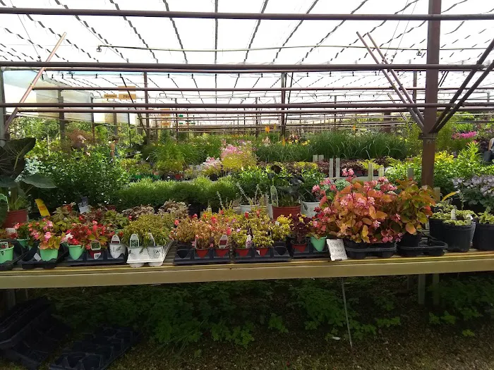 McKinley Garden Center Picture 2