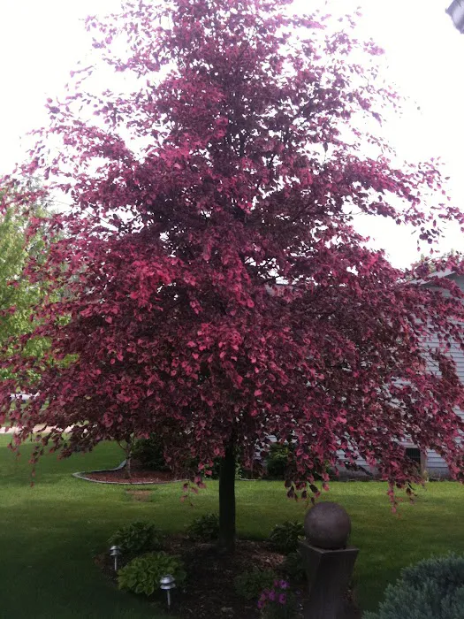 Cory's Curb Appeal Picture 4