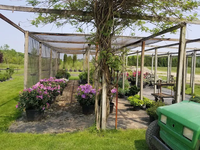 Brookside Nursery LLC Picture 1
