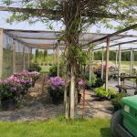 Brookside Nursery LLC