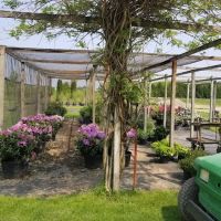 Brookside Nursery LLC ico