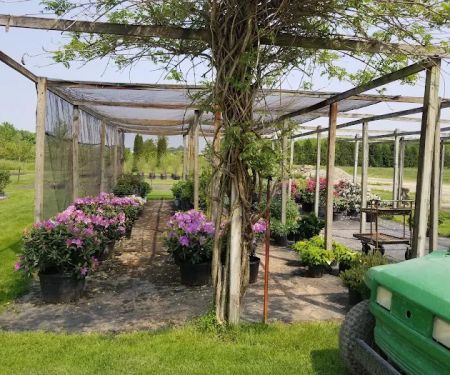 Brookside Nursery LLC