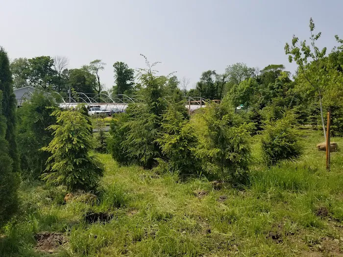 Brookside Nursery LLC Picture 9