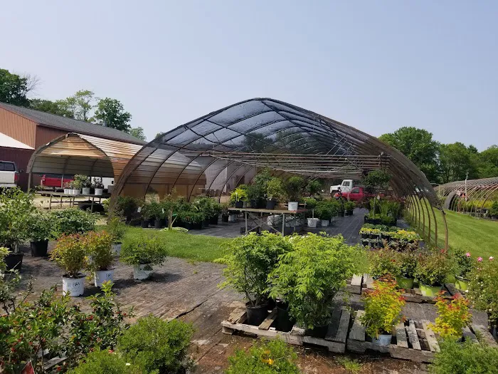 Brookside Nursery LLC Picture 6