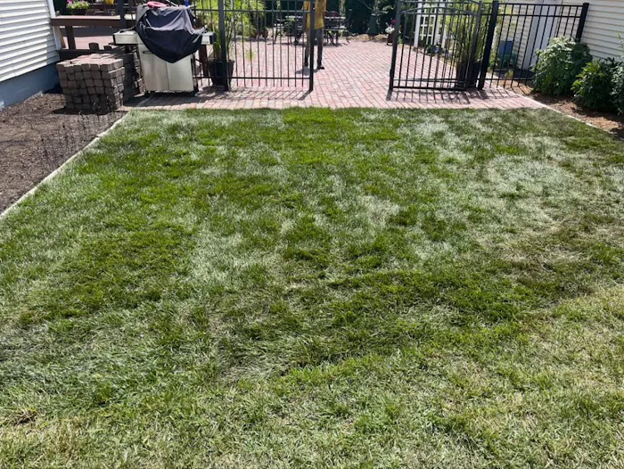 Forker’s Landscaping & Property Maintenance/Lawn Service/Snow Removal Picture 9