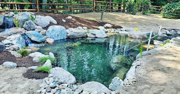 Serene Water Gardens Picture 9