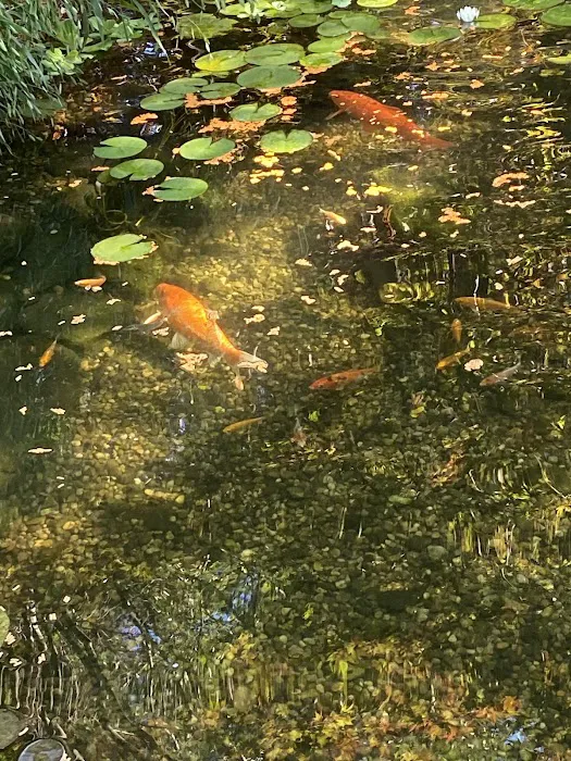 Serene Water Gardens Picture 5