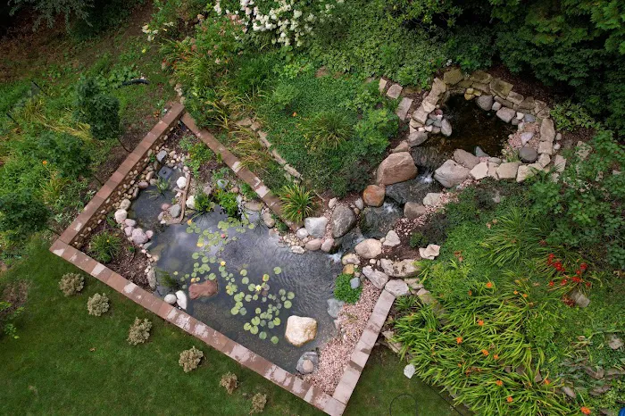 Serene Water Gardens Picture 6