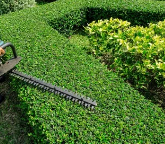 Joe's Lawn Care Service Picture 4
