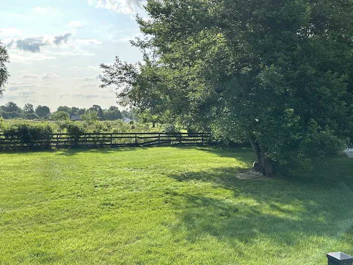 Evergreen Lawn Care & Landscaping Picture 6