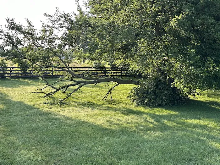 Evergreen Lawn Care & Landscaping Picture 2