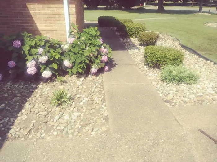 Lawn Personnel Picture 6