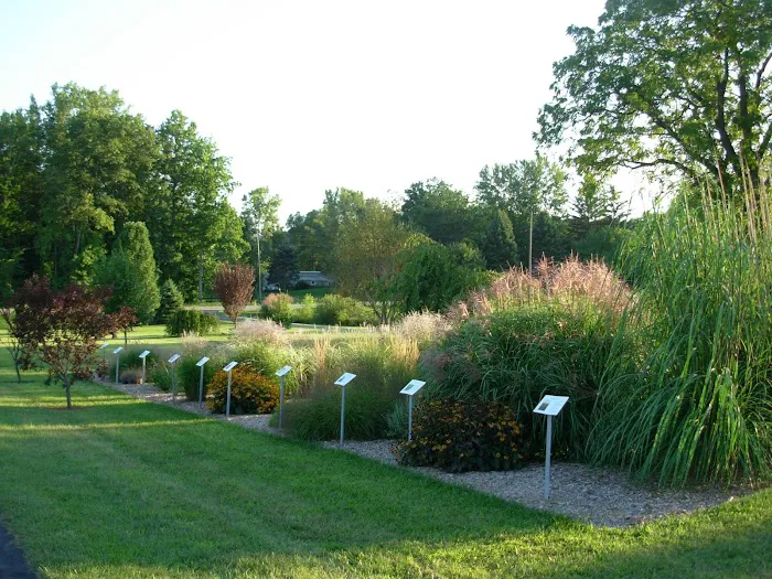Fields Of Joy Ornamental Grasses Picture 1