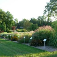 Fields Of Joy Ornamental Grasses ico