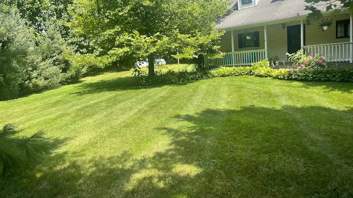 Gonzalez Lawn Care Services, LLC Picture 3