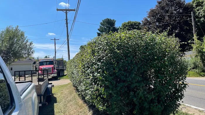 Gonzalez Lawn Care Services, LLC Picture 5