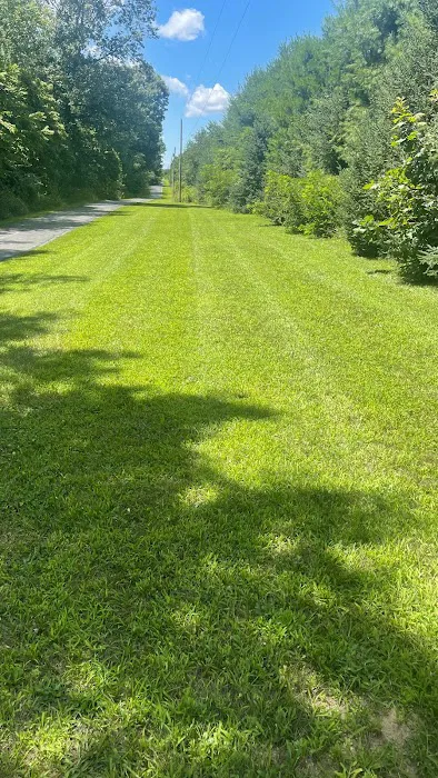 Gonzalez Lawn Care Services, LLC Picture 6